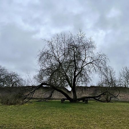 Delux Ferienwohnung Kunstgalerie Und Ilmradweg Kranichfeld Extérieur photo