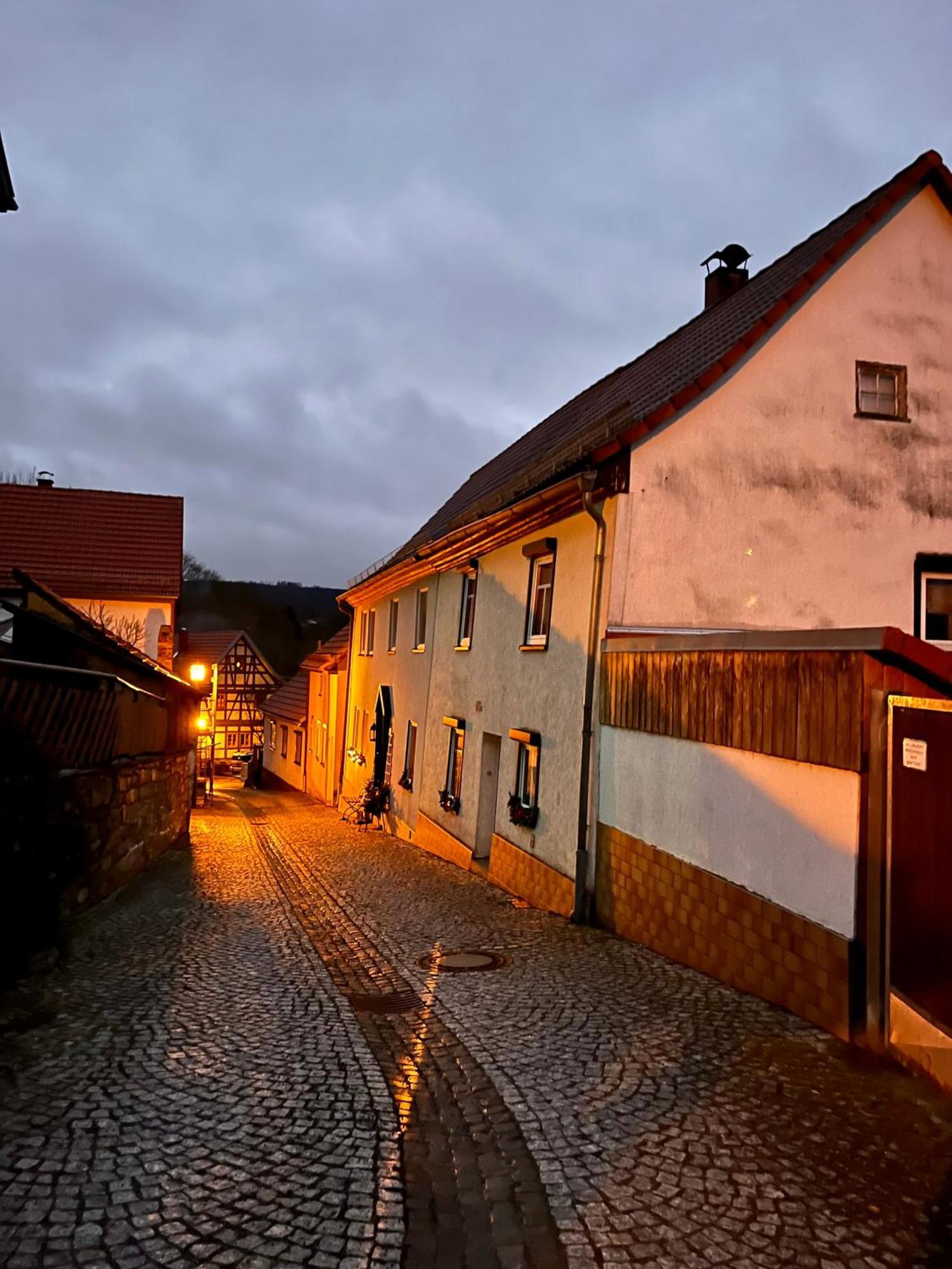 Delux Ferienwohnung Kunstgalerie Und Ilmradweg Kranichfeld Extérieur photo